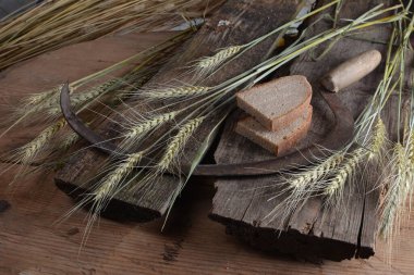 Ekmek, buğday kulakları ve ahşap bir tahtanın üzerinde eski bir orak. Bir avuç biçilmiş buğday kulağı ve el yapımı Orakçı kancası sapığı.