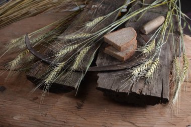 Ekmek, buğday kulakları ve ahşap bir tahtanın üzerinde eski bir orak. Bir avuç biçilmiş buğday kulağı ve el yapımı Orakçı kancası sapığı.