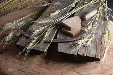 Ekmek, buğday kulakları ve ahşap bir tahtanın üzerinde eski bir orak. Bir avuç biçilmiş buğday kulağı ve el yapımı Orakçı kancası sapığı.