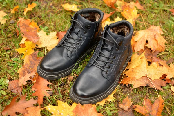 レディースファッション革の靴秋 ヨーロッパの冬 現代のグランジ女性のためのブーツ 濡れた葉の上にレースと黒の女性の靴 ファッションだ — ストック写真
