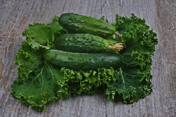 Čerstvé Okurky Dřevěném Stole Tastné Vegetariánské Jídlo — Stock fotografie