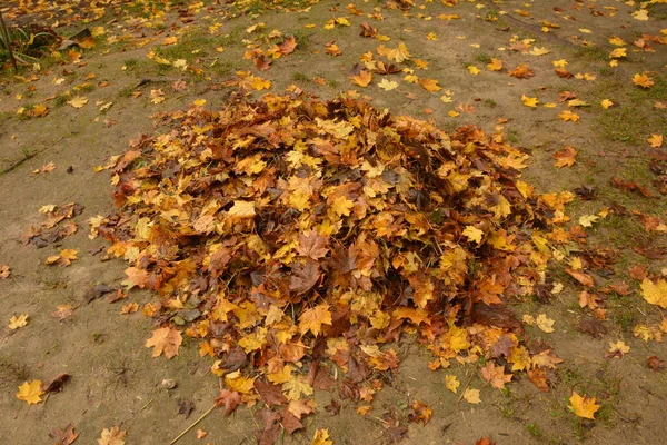 Top View Pile Fallen Brown Leaves Green Grass Background — Stock Photo, Image