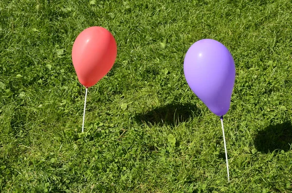 Outdoor Party Decoration Concept Mix Colorful Balloons Green Grass Field — Stock Photo, Image