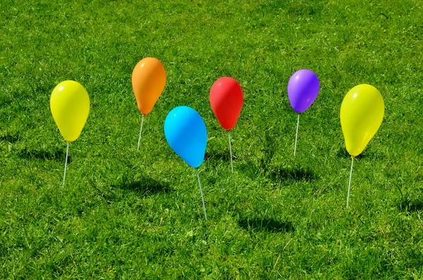 Outdoor party decoration concept - mix of colorful balloons on a green grass field and blue sky background with copy space (mixed).