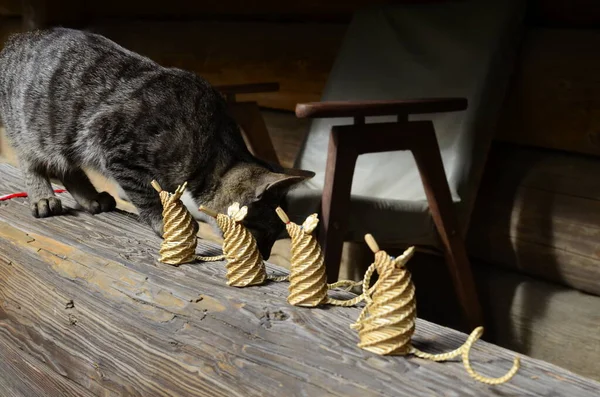 The cat plays with mice spewed out of yellow straw.Funny toy for a cat.