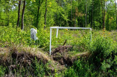 Ormanda çitleri olan büyük bir karınca yuvası.