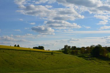 Yeşil ve sarı yay tarlaları manzarası. Bahar çayırları. Kırsal alan. Yeşil bahar çayırı, yeşil çimen tepeleri, bahar manzarası
