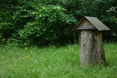Kütüklerden yapılmış otantik arı kovanı. Eski arı. Ukrayna 'da sabah ormanın arka planında yabani bal toplamak için eski orman kovanları..