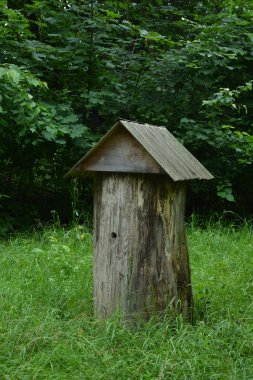 Kütüklerden yapılmış otantik arı kovanı. Eski arı. Ukrayna 'da sabah ormanın arka planında yabani bal toplamak için eski orman kovanları..