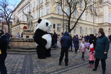 Lvov, Ukrayna - 8 Ocak 2021: Panda kuklaları yoldan geçenleri ve turistleri şehir sokaklarında eğlendiriyor..