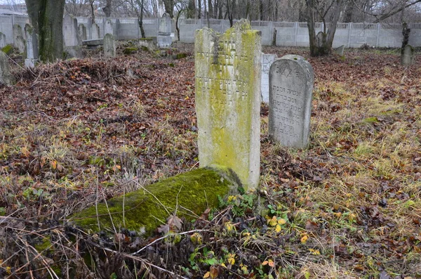 Zdolbuniv Ровенская Область Украина Ноябрь 2020 Old Jewish Cemetery Destroyed — стоковое фото