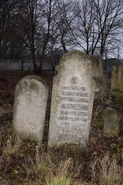 Zdolbuniv Rivne Bölgesi Ukrayna Kasım 2020 Eski Yahudi Mezarlığı Yok — Stok fotoğraf