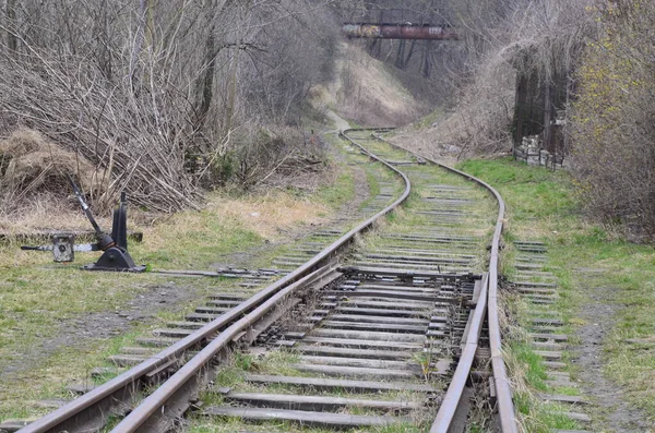 Ferrovia Para Pôr Sol Intersecção Caminhos Ferro Antigos Caminhos Ferro — Fotografia de Stock