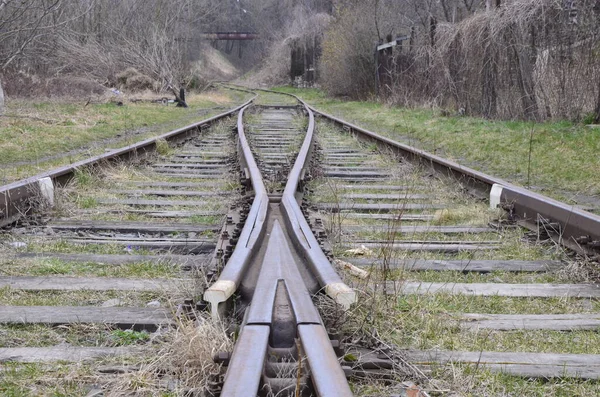 从铁路到日落旧铁路的交叉口 欧洲环境中的旧铁路和废弃铁路轨道 农村铁路 有开关和灯的铁路轨道 — 图库照片