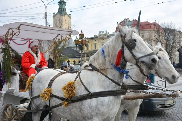 Lviv Ucrania Enero 2021 Carruaje Turístico Esperando Los Pasajeros Las — Foto de Stock