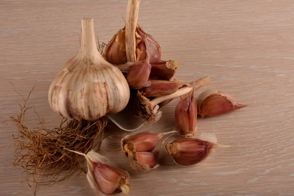 Garlic on a white background and a garlic press. Garlic grinding appliance.