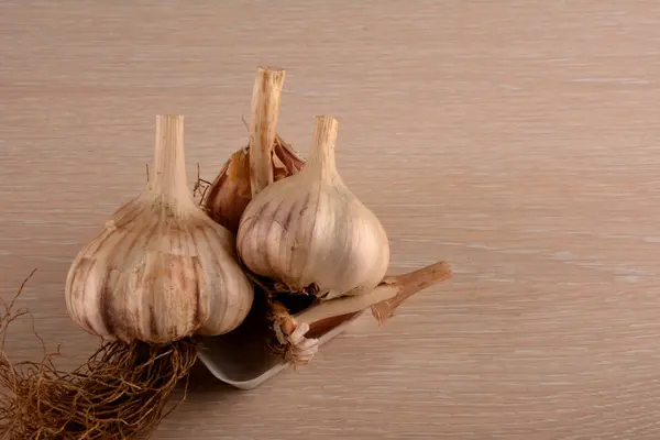 Garlic on a white background and a garlic press. Garlic grinding appliance.