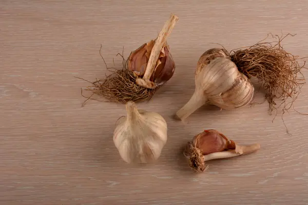 Garlic on a white background and a garlic press. Garlic grinding appliance.