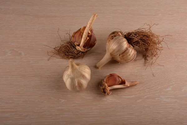 Garlic on a white background and a garlic press. Garlic grinding appliance.