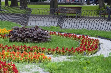 Bir kaldırımda pembe, sarı, mavi ve turuncu çiçeklerin bulunduğu tam bir çiçek tarhı. Yaz bahçesinde yemyeşil çiçekler. Parlak güneşli bir gün. Yaz parkında hoş bir çiçek tarhı.
