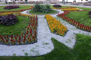 Bir kaldırımda pembe, sarı, mavi ve turuncu çiçeklerin bulunduğu tam bir çiçek tarhı. Yaz bahçesinde yemyeşil çiçekler. Parlak güneşli bir gün. Yaz parkında hoş bir çiçek tarhı.
