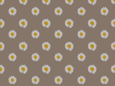 Papatyalar ve yapraklarla kusursuz desen. Büyük, dikişsiz desen..