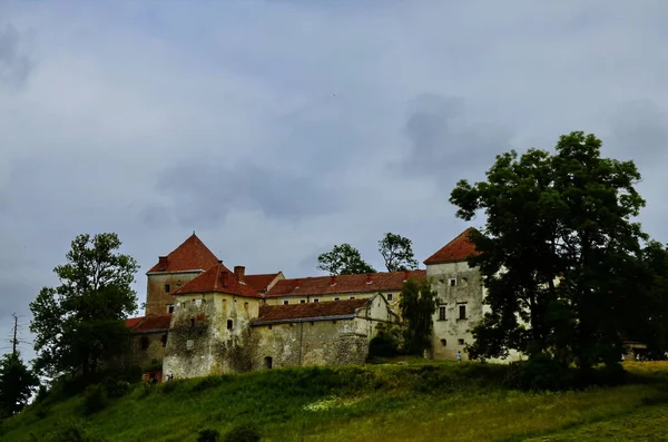 Építészeti Nevezetesség Szvirzh Kastély Közelében Lviv Ukrajna — Stock Fotó