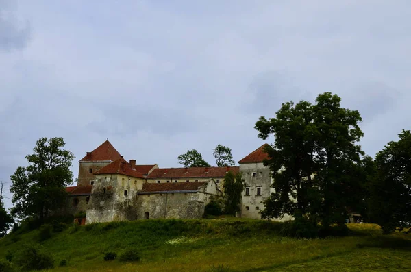 Építészeti Nevezetesség Szvirzh Kastély Közelében Lviv Ukrajna — Stock Fotó