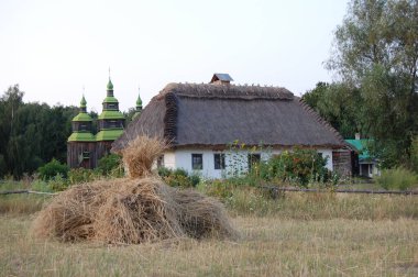 Eski Ukrayna evi. 19. yüzyılın Ukrayna kulübesi. Yaz manzarası, evin önündeki çiçekler, güneş ışığı. Köy Pirogovo.