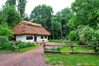 Eski Ukrayna evi. 19. yüzyılın Ukrayna kulübesi. Yaz manzarası, evin önündeki çiçekler, güneş ışığı. Köy Pirogovo.