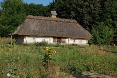 Eski Ukrayna evi. 19. yüzyılın Ukrayna kulübesi. Yaz manzarası, evin önündeki çiçekler, güneş ışığı. Köy Pirogovo.
