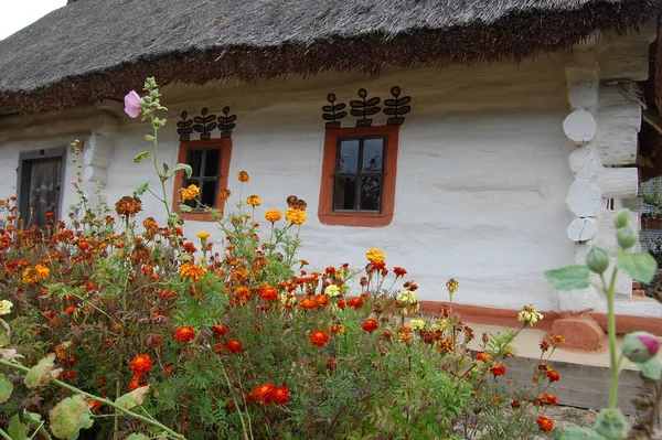 Velha Casa Ucraniana Cabana Ucraniana Século Xix Paisagem Verão Flores — Fotografia de Stock