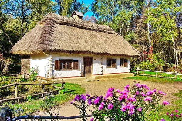 Velha Casa Ucraniana Cabana Ucraniana Século Xix Paisagem Verão Flores — Fotografia de Stock