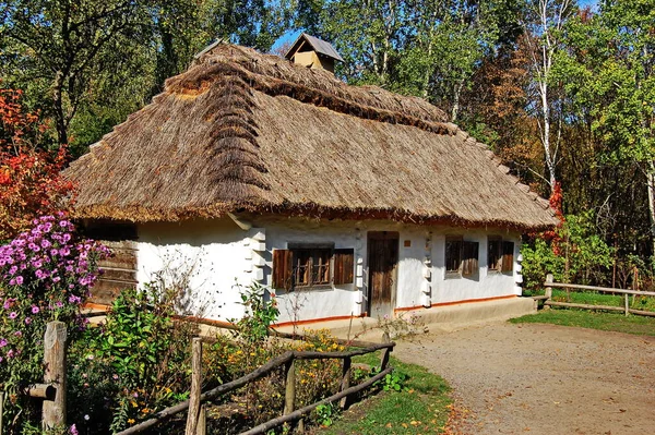 Eski Ukrayna evi. 19. yüzyılın Ukrayna kulübesi. Yaz manzarası, evin önündeki çiçekler, güneş ışığı. Köy Pirogovo.
