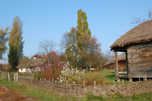 Vecchia Casa Ucraina Capanna Ucraina Del Xix Secolo Paesaggio Estivo — Foto Stock