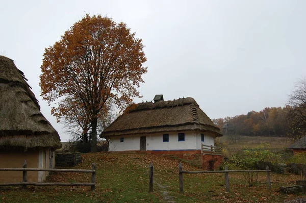 Antigua Casa Ucraniana Cabaña Ucraniana Del Siglo Xix Paisaje Verano — Foto de Stock