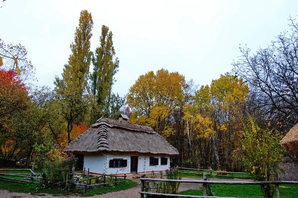 Vecchia Casa Ucraina Capanna Ucraina Del Xix Secolo Paesaggio Estivo — Foto Stock