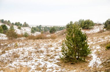 Karlı dağların güzel manzarası. Kış tatilinin tadını çıkarıyorum. Güzel, güneşli, soğuk dağlarda taze kar. Mutlu kış kayakları ve snowboard tatil beldesi konsepti.