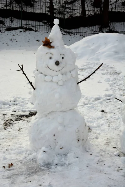 Kar Tarlasında Şık Şapkalı Eşarplı Komik Kardan Adam Noel Den — Stok fotoğraf