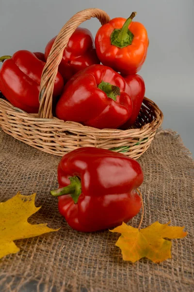 Pimientos Rojos Mercado Granjeros Locales Pimientos Rojos Maduros Frescos Una —  Fotos de Stock