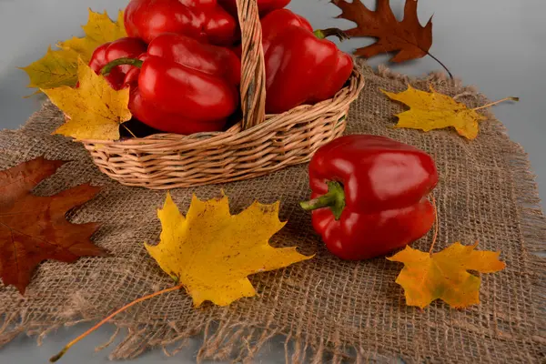Κόκκινες Πιπεριές Στην Λαϊκή Αγορά Φρέσκες Ώριμες Κόκκινες Πιπεριές Πάπρικα — Φωτογραφία Αρχείου