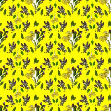 Beyaz arkaplanda desenli eşkenleri olan kusursuz akciğer otu ve kelebek deseni, suluboya çizimi, kumaş ve çeşitli tasarımlar için baskılar..