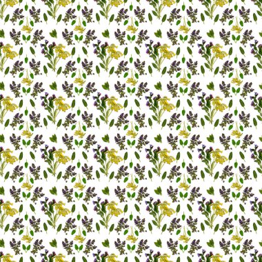 Beyaz arkaplanda desenli eşkenleri olan kusursuz akciğer otu ve kelebek deseni, suluboya çizimi, kumaş ve çeşitli tasarımlar için baskılar..