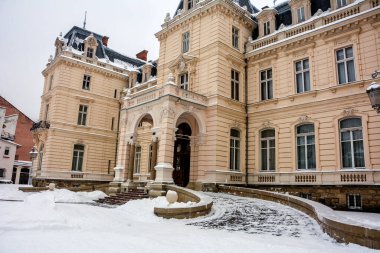Potocki Sarayı, Sanat Galerisi. Kışın Lviv 'deki Potocki Sarayı. 1880' de inşa edilmiş bir mimari anıt. Konsept - seyahat, simgeler, mimari anıt, dünya mirası.