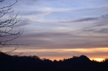 Dallı ağaçların siluetleri, ateşli bir düşüşün arka planına karşı