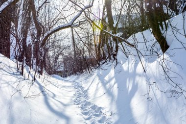 Karda insan ayağı izleri var. Karda ayak izleri var. Kış dönemi. Karla kaplı doğa. Tek başına dolaşıyorsun. Kar yolu.