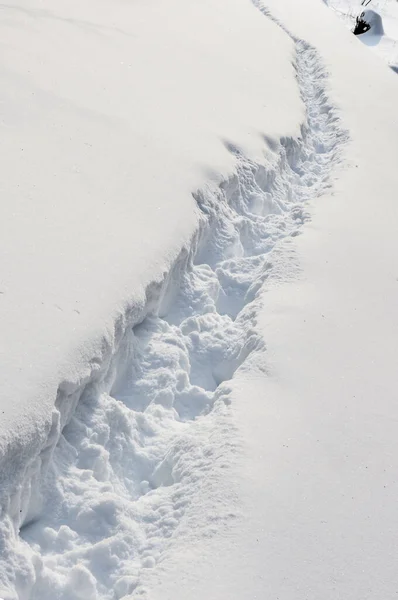 Human feet traces in the snow. Footprints alley through the snow. Winter background. Snow-covered nature. Wandering alone. Snow pathway.