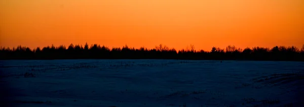 Panorama silhouette tree with sunset.Tree silhouetted against a setting sun.Dark tree on open field dramatic sunrise.Silhouettes Of Dead Tree Against Sunset Background.