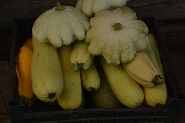 Sarı sebze kabağı ve beyaz patatesler. Kabak boluda pişiriyorum. Hasat. Tarım.