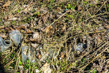 Saygısız insanların yola yakın bıraktığı plastik şişe doğada kaldı. Çevre kirliliğine bir örnek